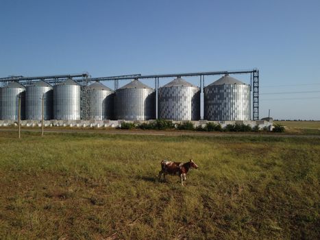 Grain elevator. Metal grain elevator in agricultural zone. Agriculture storage for harvest. Grain elevators on green nature background. Exterior of agricultural factory