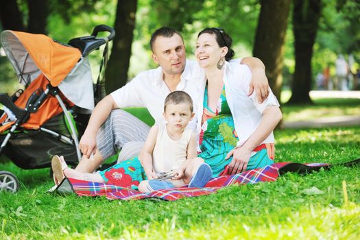 Happy young Family at park relaxing and have fun with pregnant woman