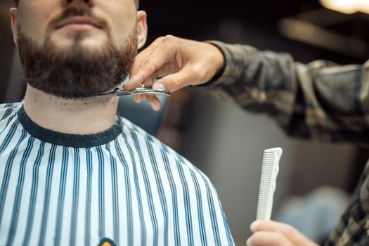 Hairdresser doing haircut of beard using comb and scissors to young attractive man in barbershop