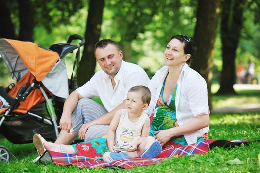 Happy young Family at park relaxing and have fun with pregnant woman