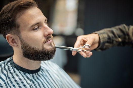 Hairdresser doing haircut of beard using comb and scissors to young attractive man in barbershop