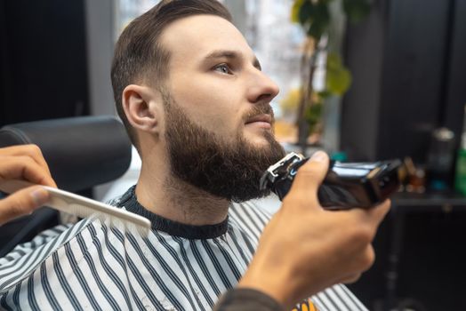 Man visiting hairstylist in barbershop. Barber works with a beard clipper. Hipster client getting haircut.