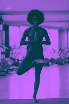 beautiful young african american woman exercise yoga in gym duo tone filter