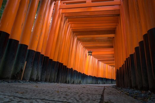 The red torii gates walkway path at fushimi inari taisha shrine the one of attraction  landmarks for tourist in Kyoto, Japan.