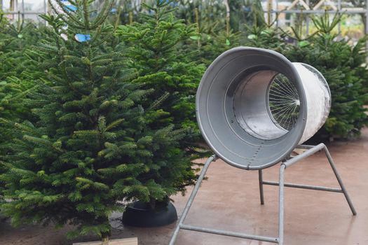 Christmas tree at a market and wrapping device