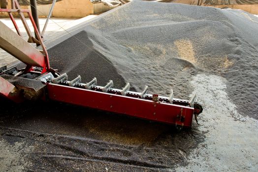 Special equipment for drying rape seeds. Close up.