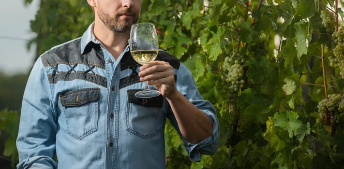 cropped enologist with wineglass. sommelier. farmer drink wine. cheers. vinedresser drinking. male vineyard owner. professional winegrower on grape farm. bearded man with wine glass.