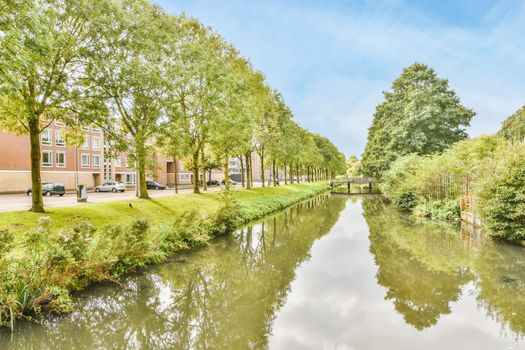 Attractive view of the canal surrounded by trees