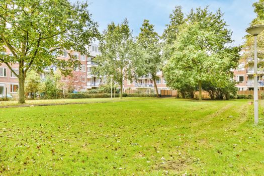 Glade with green and fresh lawn and trees in the background