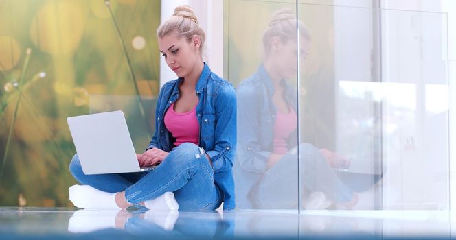 beautiful young women using laptop computer on the floor of her luxury home