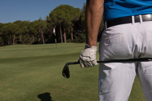 golf player hand and driver close up  from back with course in background  at beautiful sunny day