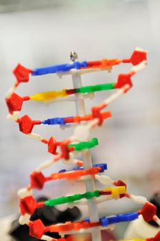 dna chin spiral molecule school chemistry and biology tool 