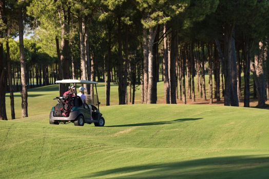 couple in buggy cart on golf course