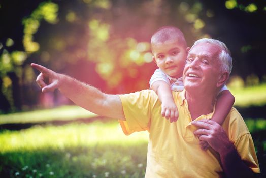 happy grandfather and child have fun and play in park on beautiful  sunny day