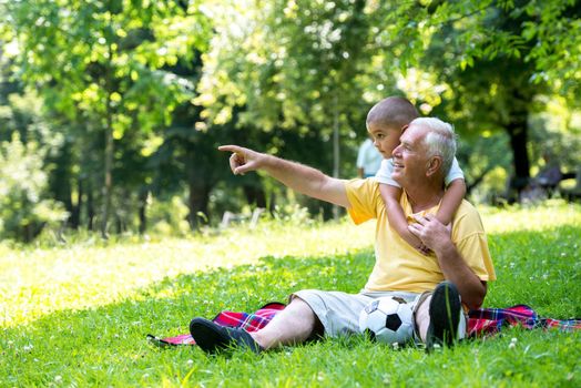 happy grandfather and child have fun and play in park on beautiful  sunny day