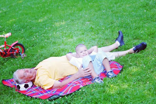 grandfather and child in park using tablet computer