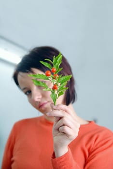 growth concept with small plant in hand