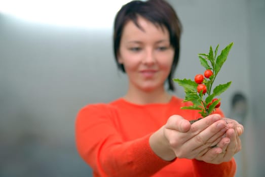 growth concept with small plant in hand