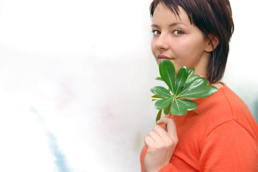 growth concept with small plant in hand