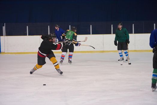 ice hockey player in action kicking with stick