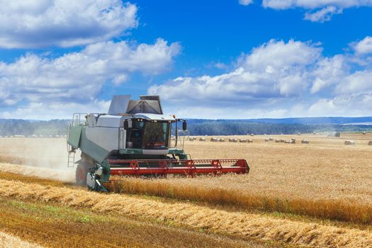 The combine harvests ripe wheat in the grain field. Agricultural work in summer. Detail of the combine close-up.