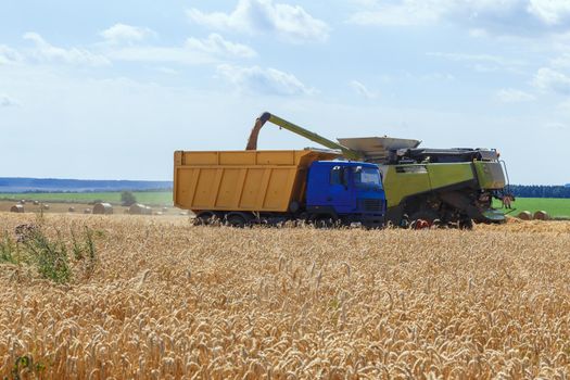 The harvester is bulk harvested grain into the truck