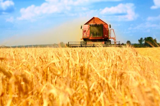 combine harvester working on a wheat field