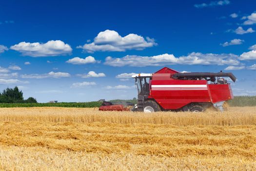 combine harvester working on a wheat field under blue sky with clouds