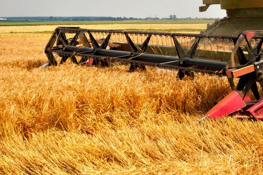 combine harvester working on a wheat field