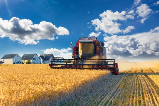 combine harvester working on a wheat field