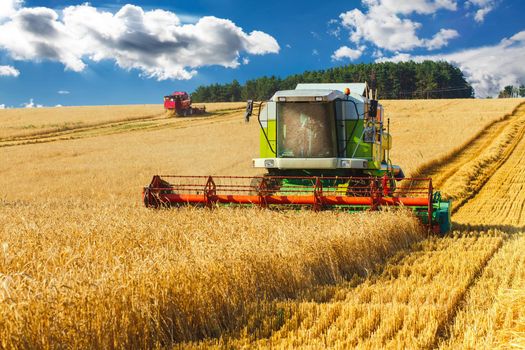 combine harvester working on a wheat field