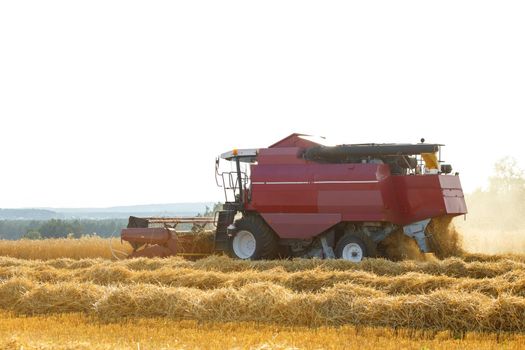 combine harvester working on a wheat field