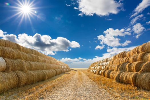 Big haystack at field in the countryside