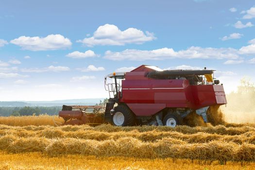 combine harvester working on a wheat field