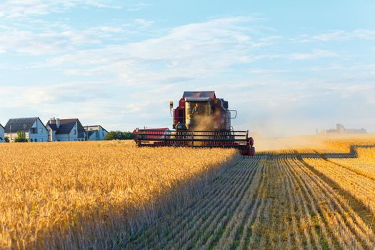 GRODNO, BELARUS - AUG 02: Combine harvester working on a wheat field near the living buildings on August 02, 2016 in Grodno, Belarus