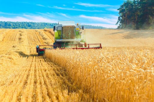 combine harvester working on a wheat field