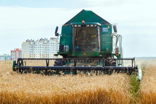 Grodno, Belarus - July 25, 2020: The combine harvests John Deere ripe wheat in the grain field near a residential area Olshanka.