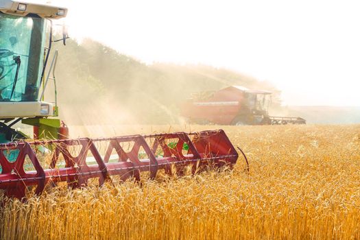 combine harvester working on a wheat field