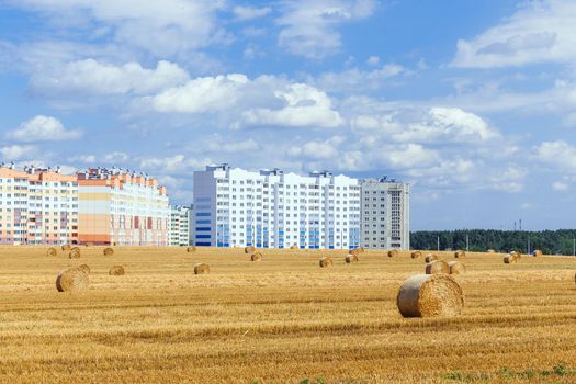 View of a wide harvested field with big yellow straw bales on urban background.