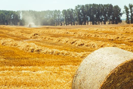 combine harvester working on a wheat field