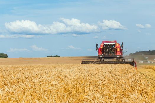 Combine harvester harvesting ripe wheat on sunny summer day.