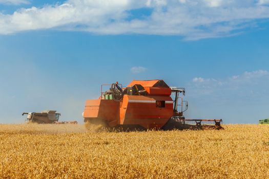 Two combines harvests ripe wheat in the grain field. Agricultural work in summer. Detail of the combine close-up.