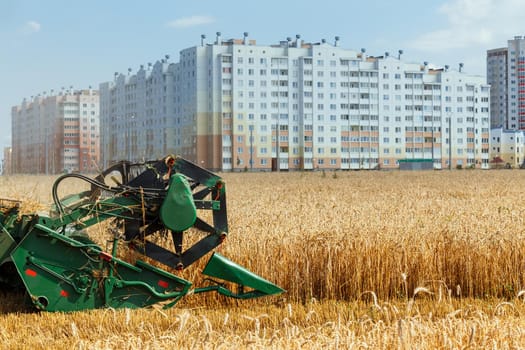 The combine harvests ripe wheat in the grain field near a residential area . Agricultural work in summer. Header close up.