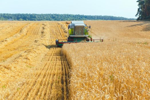 combine harvester working on a wheat field