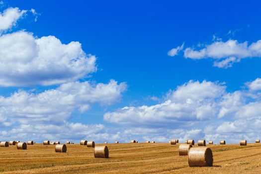View of a wide harvested field with big yellow straw bales under the blue sky