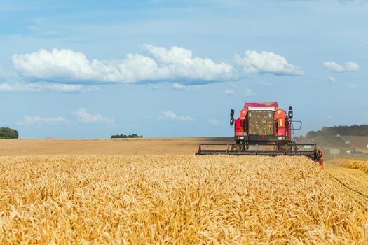 Combine harvester harvesting ripe wheat on sunny summer day.