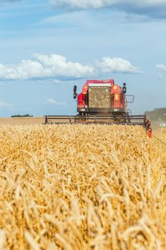 Combine harvester harvesting ripe wheat on sunny summer day.