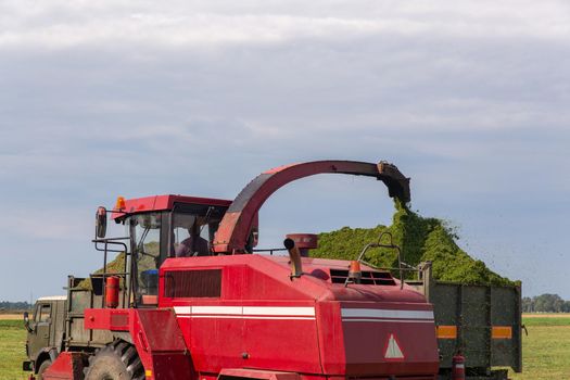 Combine harvesting a green field and unloads wheat for Silage onto a double trailer truck.