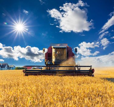 combine harvester working on a wheat field