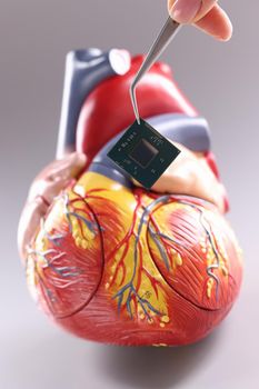 Model of heart with cardiac pacemaker in form of chip. Installation and implantation of a pacemaker concept